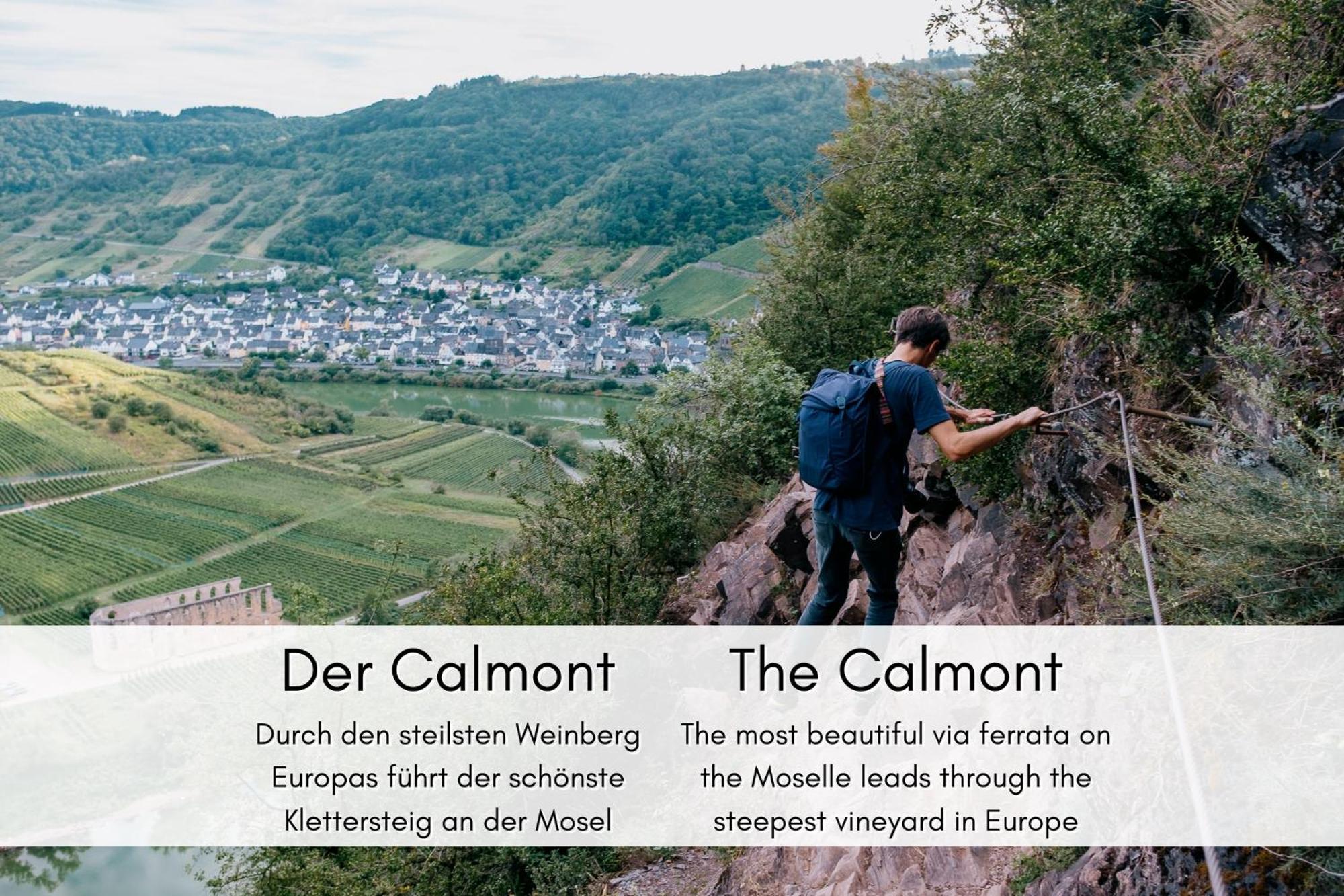 Winzerhaus Am Calmont - Charme & Moselblick Διαμέρισμα Bremm Εξωτερικό φωτογραφία